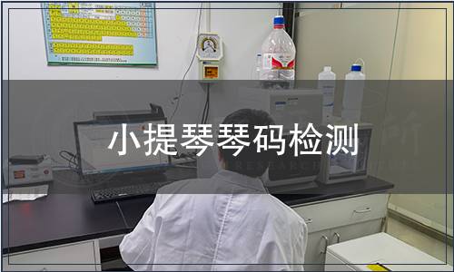 小提琴琴码检测